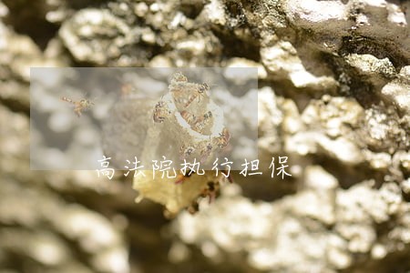 高法院执行担保 高法院执行担保