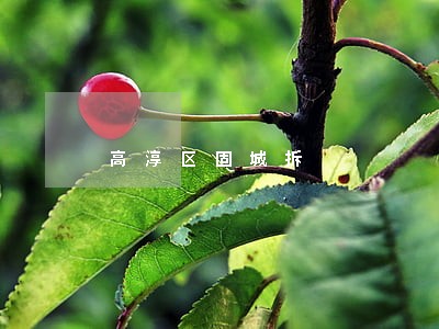 高淳区固城拆