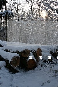 高淳法院史明亮 高淳法院史明亮