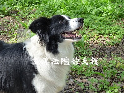 高淳法院徐友钱 高淳法院徐友钱