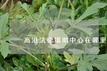 高港法律援助中心在哪里 高港法律援助中心在哪里