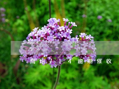 高炮714逾期催收 高炮714逾期催收