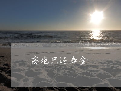 高炮只还本金 高炮只还本金