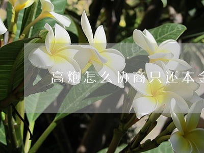 高炮怎么协商只还本金 高炮怎么协商只还本金
