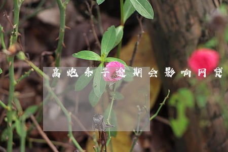 高炮条子逾期会影响网贷吗