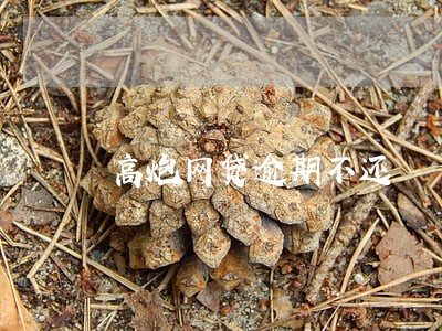 高炮网贷逾期不还 高炮网贷逾期不还