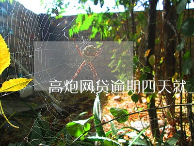 高炮网贷逾期四天就上门了 高炮网贷逾期四天就上门了