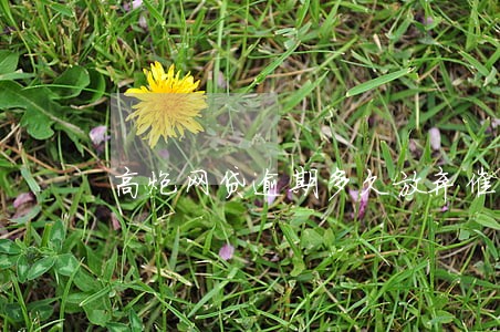 高炮网贷逾期多久放弃催收 高炮网贷逾期多久放弃催收