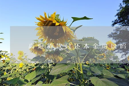 高炮贷款只还本金可以吗 高炮贷款只还本金可以吗