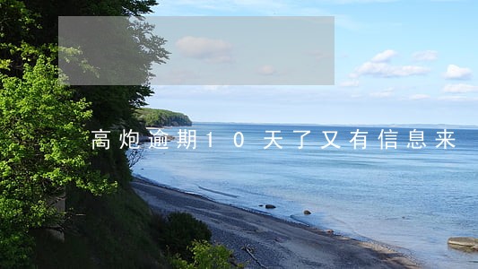 高炮逾期10天了又有信息来 高炮逾期10天了又有信息来