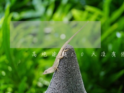 高炮逾期10天没有催款 高炮逾期10天没有催款