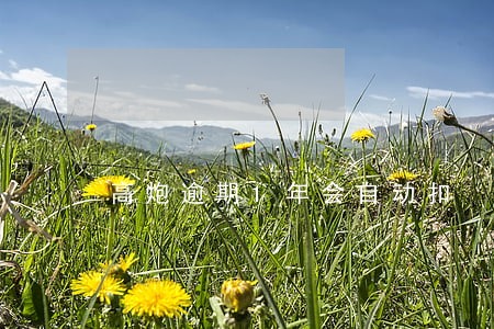 高炮逾期1年会自动扣 高炮逾期1年会自动扣