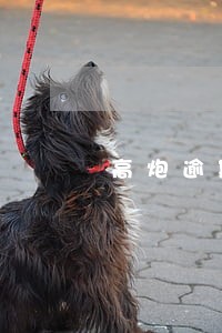 高炮逾期2个月后发信息催收 高炮逾期2个月后发信息催收
