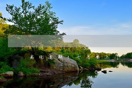 高炮逾期3个月要上门 高炮逾期3个月要上门