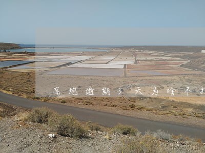 高炮逾期3天为啥不打电话 高炮逾期3天为啥不打电话