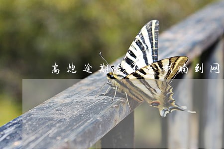 高炮逾期会不会影响到网贷 高炮逾期会不会影响到网贷