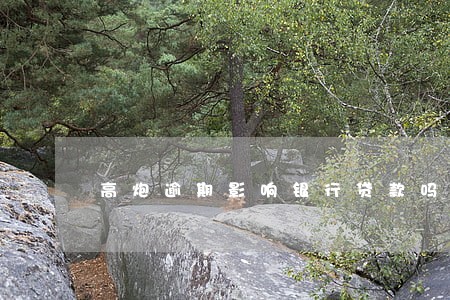 高炮逾期影响银行贷款吗 高炮逾期影响银行贷款吗