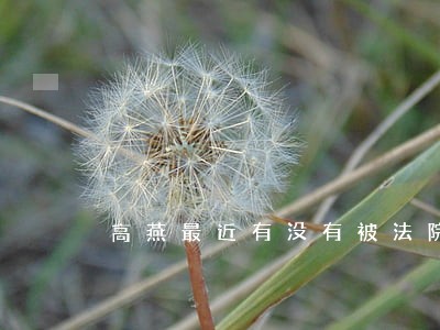 高燕最近有没有被法院传票 高燕最近有没有被法院传票