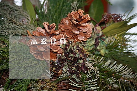 高玄律师 高玄律师
