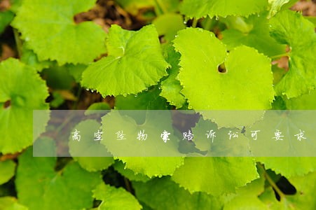 高空坠物索赔诉讼可要求哪些赔偿 高空坠物索赔诉讼可要求哪些赔偿