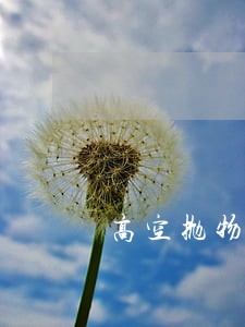 高空抛物坠物的刑法规制