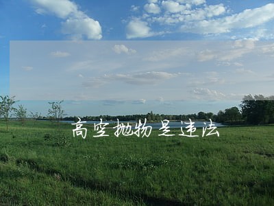 高空抛物是违法