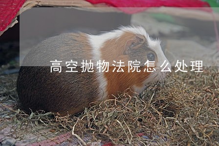 高空抛物法院怎么处理
