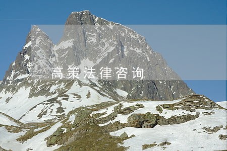 高策法律咨询