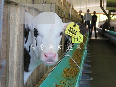 高管兼职违法 高管兼职违法