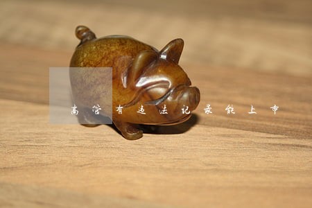 高管有违法记录能上市 高管有违法记录能上市