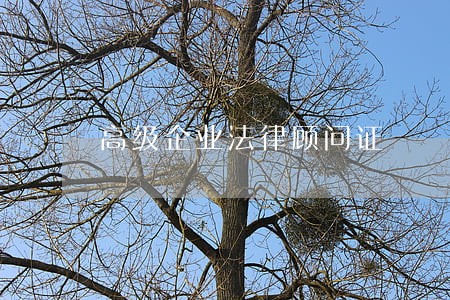 高级企业法律顾问证 高级企业法律顾问证