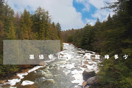 高级审计师一年能挣多少钱 高级审计师一年能挣多少钱