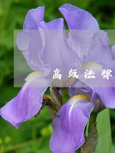 高级法律顾问取证班 高级法律顾问取证班