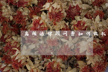 高级法律顾问费如何收取 高级法律顾问费如何收取