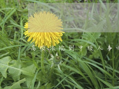 高级法院到中级人事调动