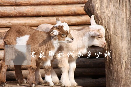 高级职称代办多少钱