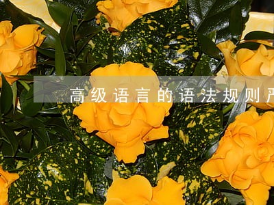 高级语言的语法规则严格吗 高级语言的语法规则严格吗