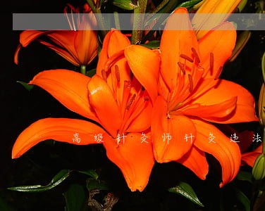 高级针灸师针灸违法吗 高级针灸师针灸违法吗