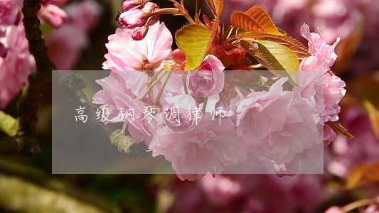 高级钢琴调律师 高级钢琴调律师