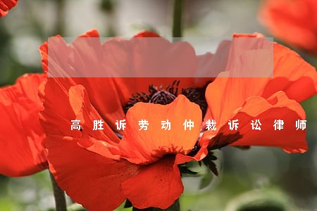 高胜诉劳动仲裁诉讼律师代理 高胜诉劳动仲裁诉讼律师代理