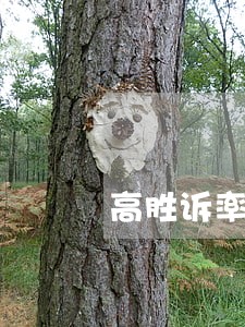 高胜诉率的公司商事律师法律咨询 高胜诉率的公司商事律师法律咨询