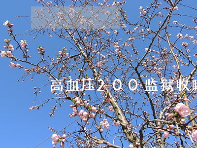 高血压200监狱收吗
