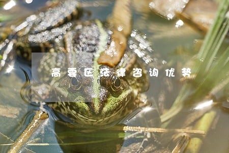 高要区法律咨询优势 高要区法律咨询优势