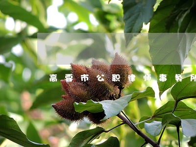 高要市公职律师事务所 高要市公职律师事务所