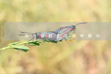 高质量的北京法律顾问 高质量的北京法律顾问