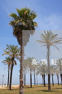 高跟鞋丝袜刑法 高跟鞋丝袜刑法