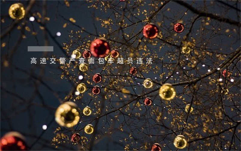 高速交警严查面包车超员违法 高速交警严查面包车超员违法