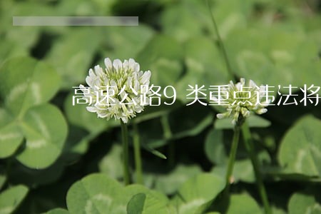 高速公路9类重点违法将被严查 高速公路9类重点违法将被严查