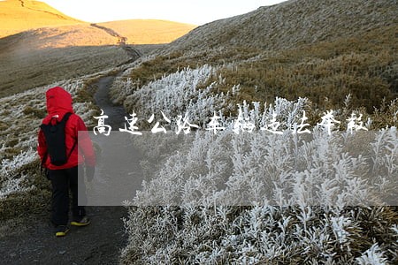 高速公路车辆违法举报 高速公路车辆违法举报
