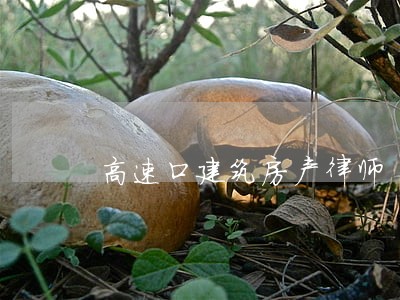 高速口建筑房产律师
